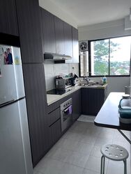 Hillcrest Arcadia (D11), Condominium #597508681
